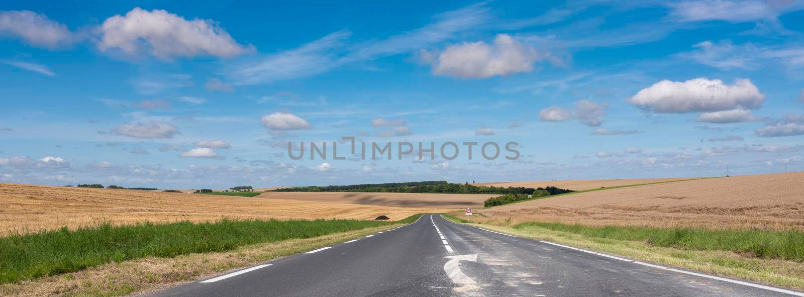 country road in the north of france near reims in champagne ardennes under blue sky in summer by ahavelaar