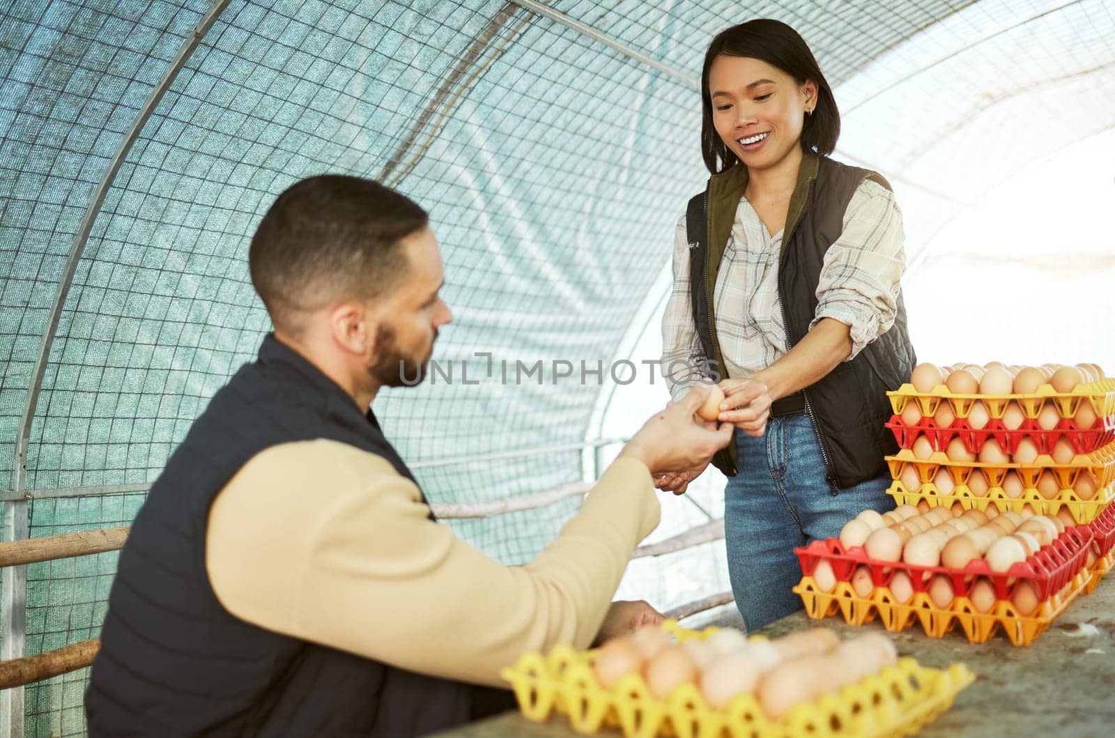 Egg farmer, food and couple at chicken farm checking health, production or growth of eggs. Poultry agriculture, sustainability or inspection of protein products with happy man and Asian woman in barn.