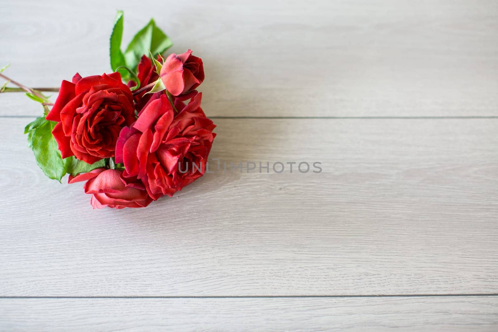 Floral background of pink, red and other roses on a light wooden table