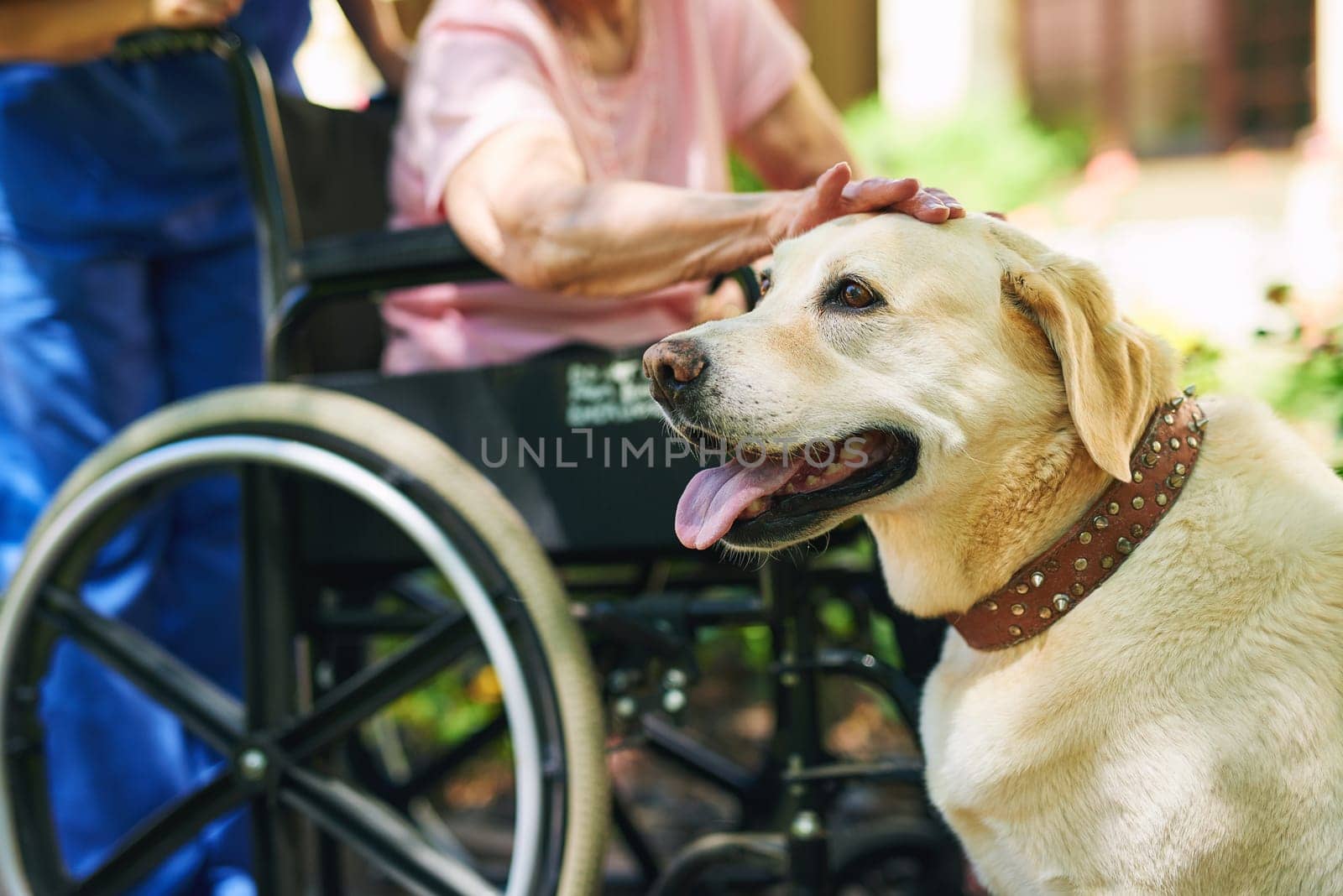 Shot of a resident, her dog and a nurse outside in the retirement home garden.