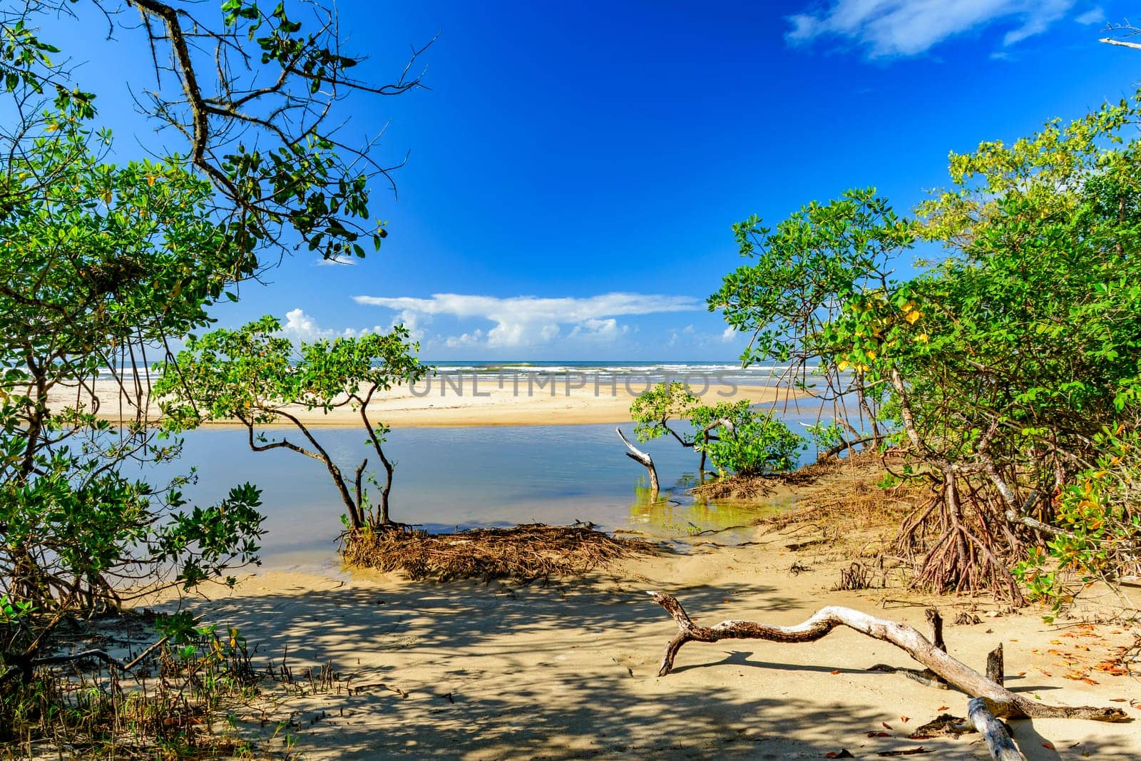 Meeting between the mangrove, the river, the sand and the sea at Sargi beach in Serra Grande on the south coast of Bahia