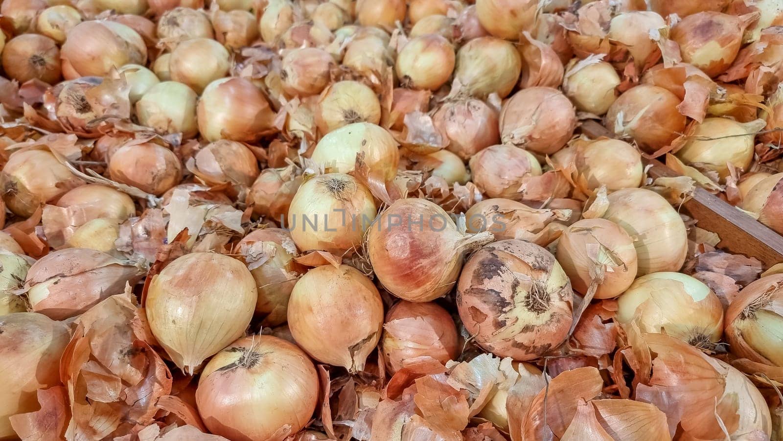 Full frame background of various colorful fresh onions placed together in local market