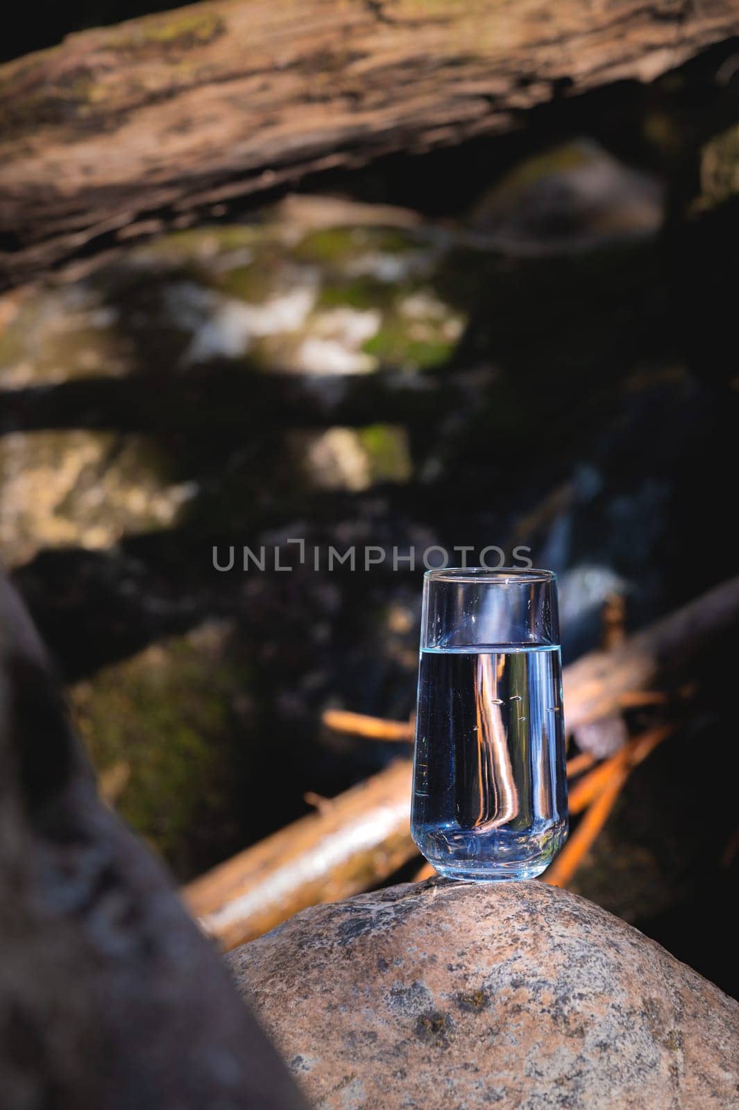 Pure water in a transparent glass cup stands on a stone next to a stormy mountain stream in a coniferous forest. Clean water concept by yanik88