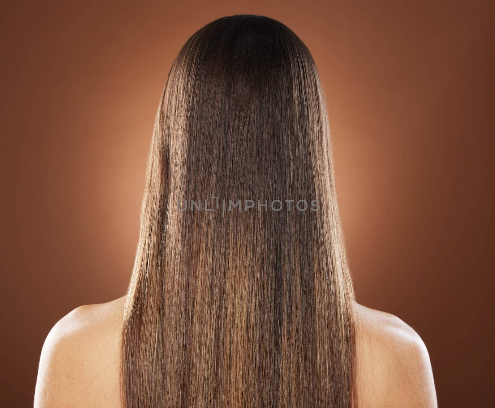 Woman, back or hair style on brown background in relax studio for keratin treatment, self care wellness or color dye routine. Model, texture or brunette growth aesthetic with balayage transformation.
