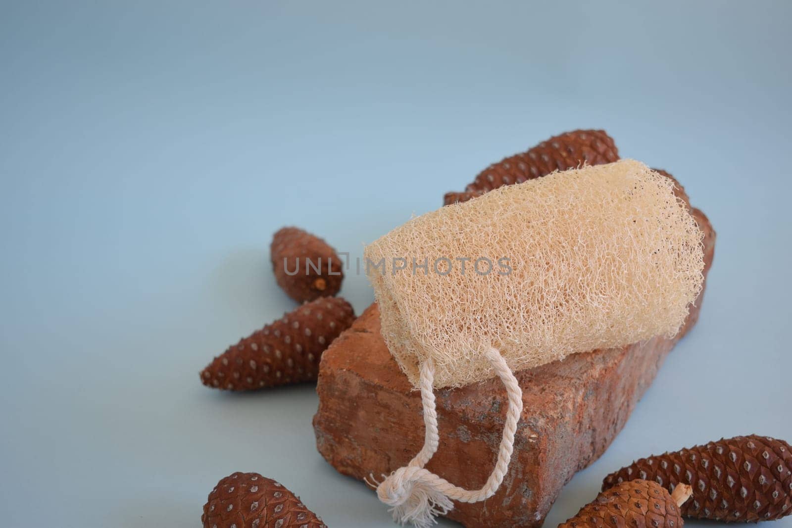 Natural Luffa Sponge. Body scrap with natural sponge on a blue background.