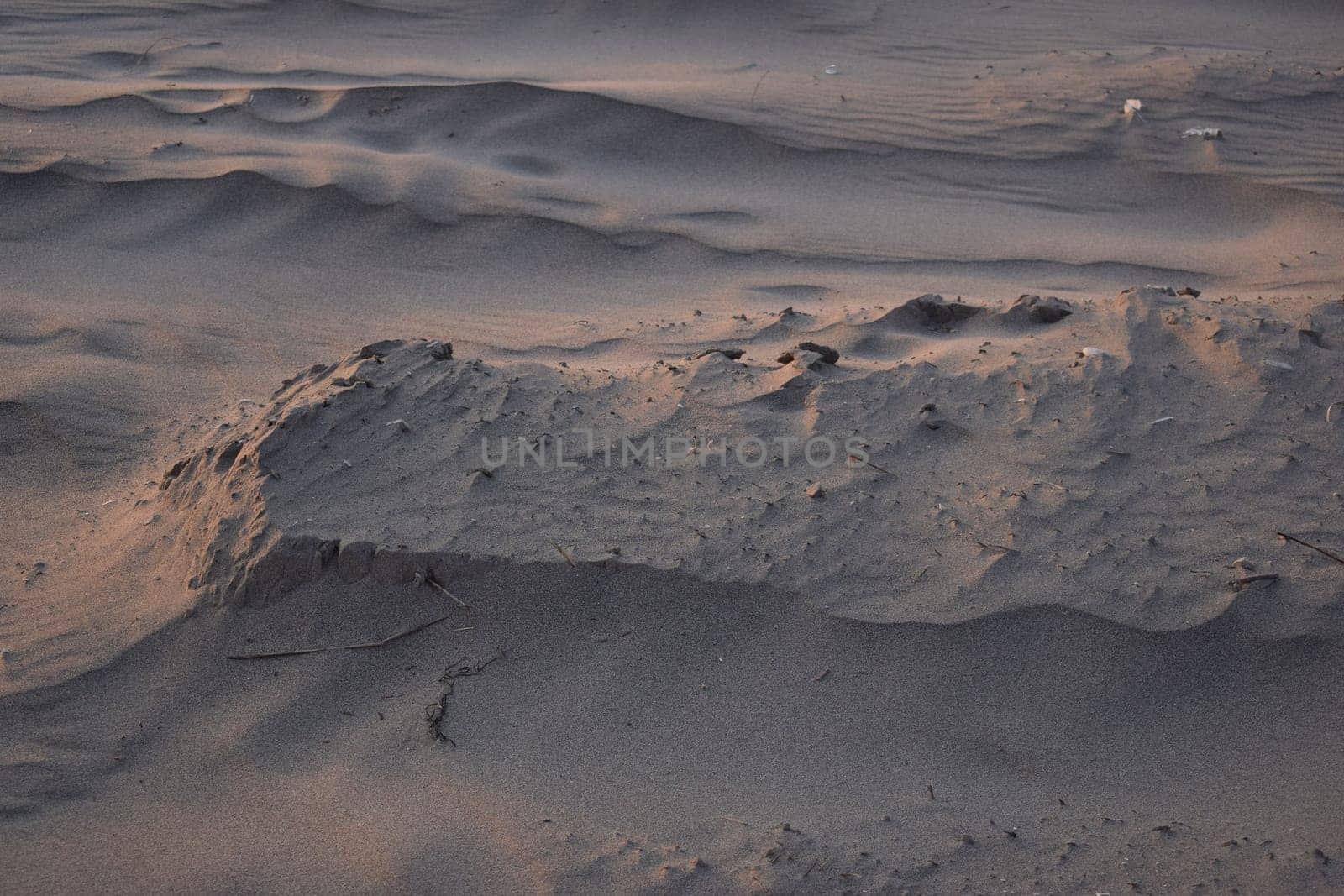 Sand dunes created by the wind. Lay flat.