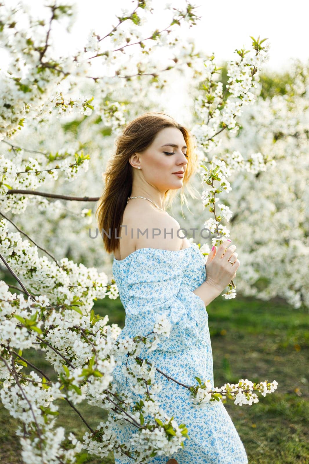 Attractive young woman in a delicate dress in a blossoming spring apple orchard. A gentle woman in a light summer dress.