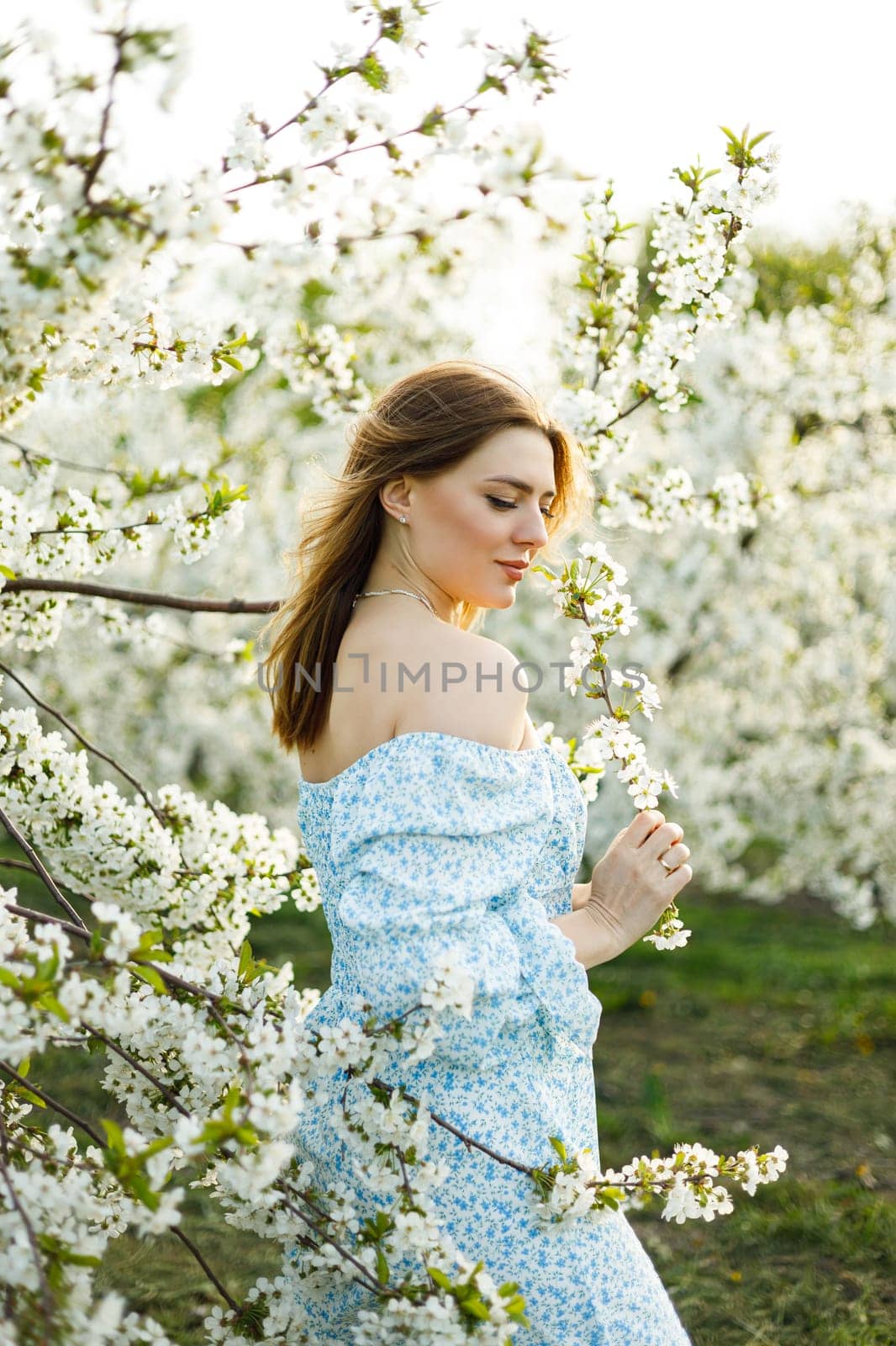 Attractive young woman in a delicate dress in a blossoming spring apple orchard. A gentle woman in a light summer dress.