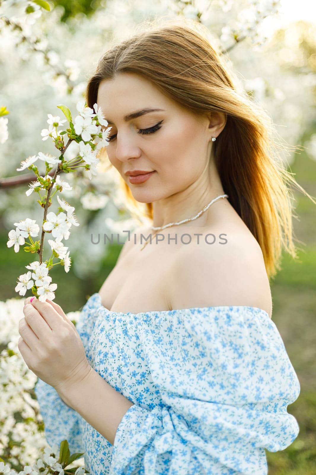 Attractive young woman in a delicate dress in a blossoming spring apple orchard. A gentle woman in a light summer dress.