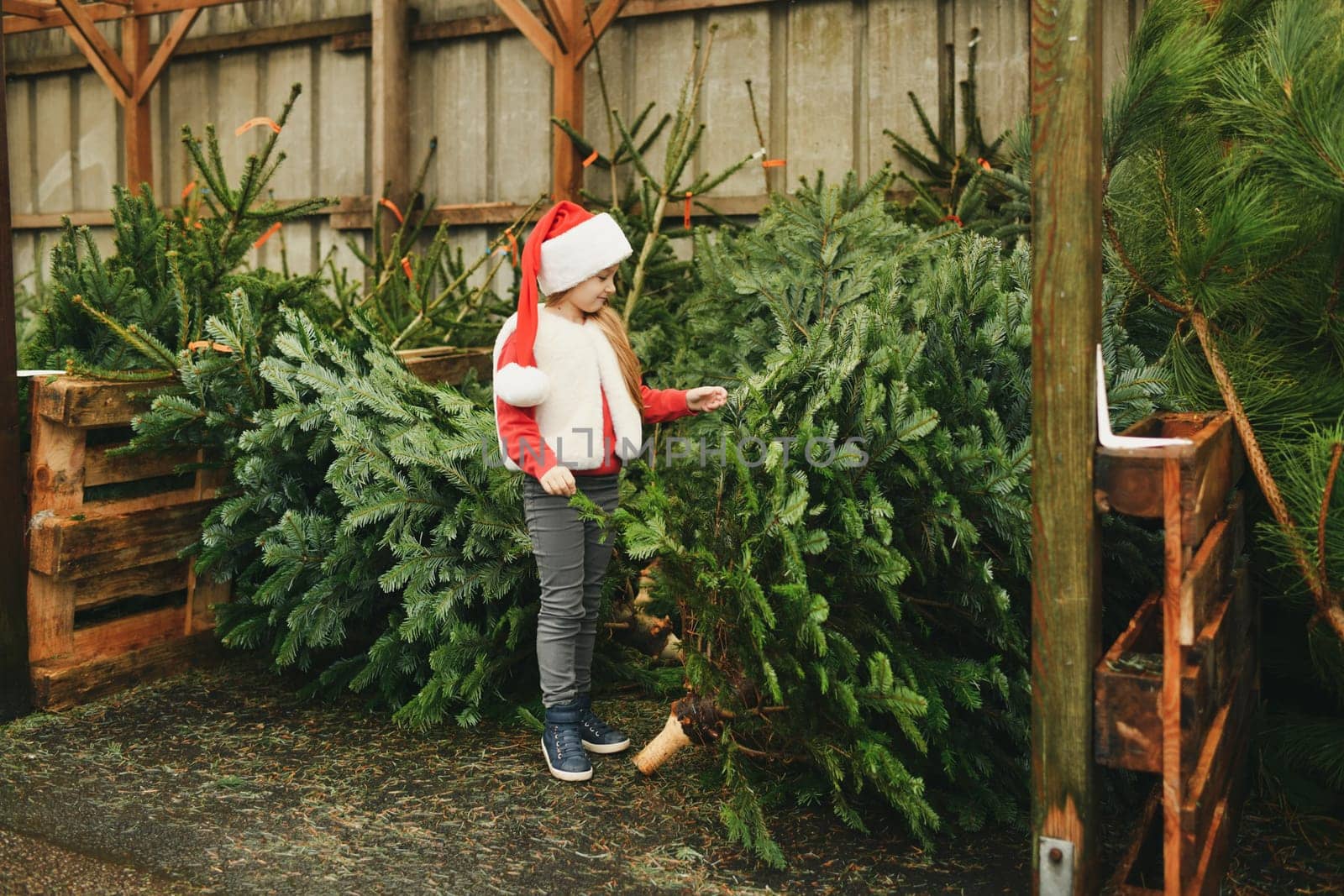 A girl chooses a christmas tree at a shop