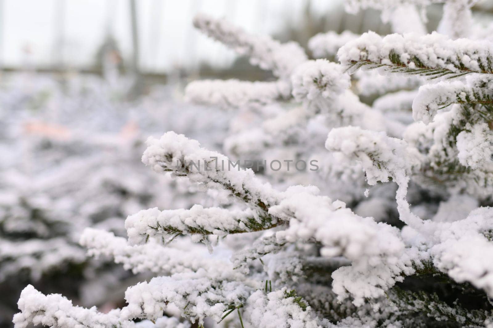 White christmas artificial trees for sale on a shop