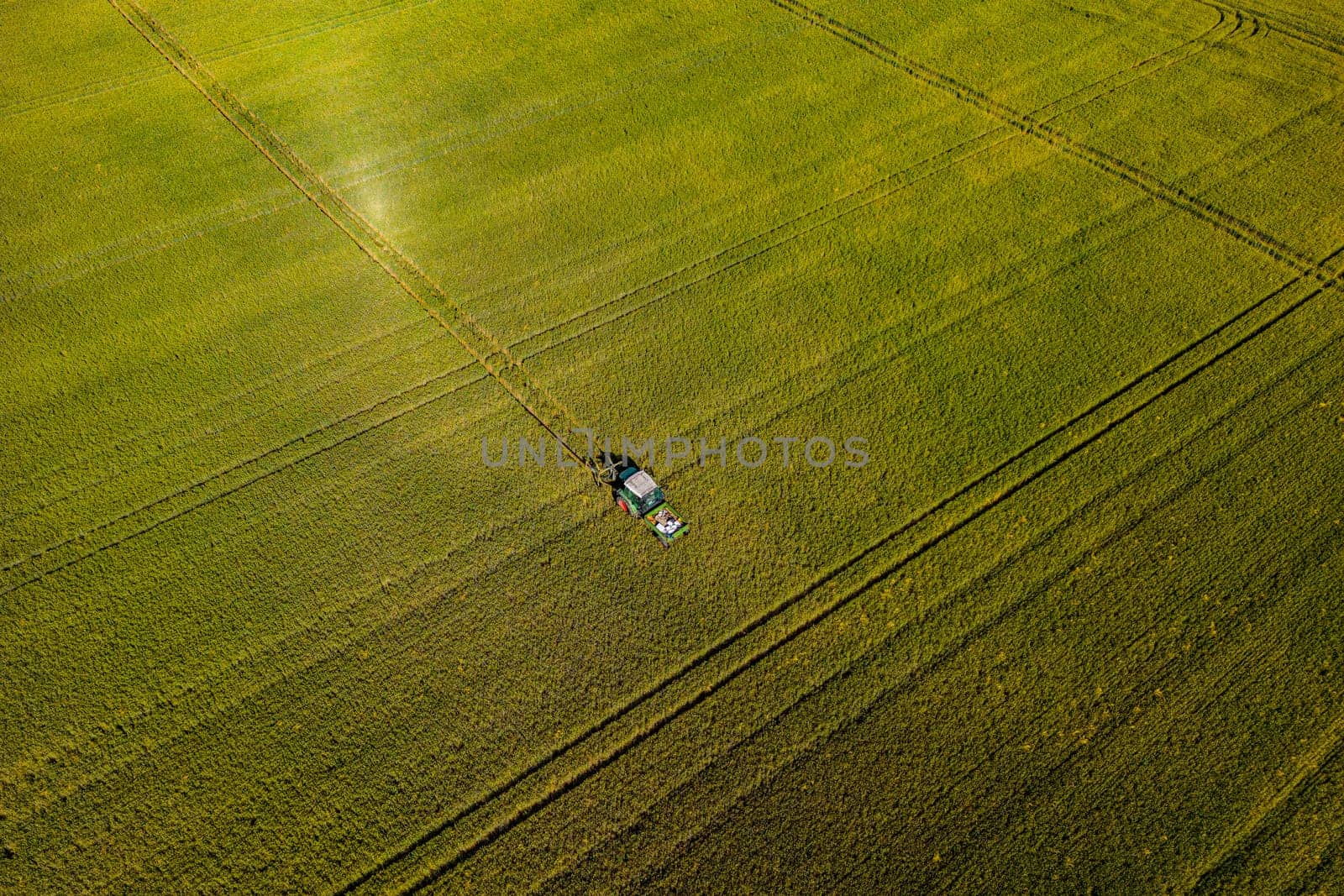 A tractor in a field with grain and various tractor tracks in green grain field, Germany