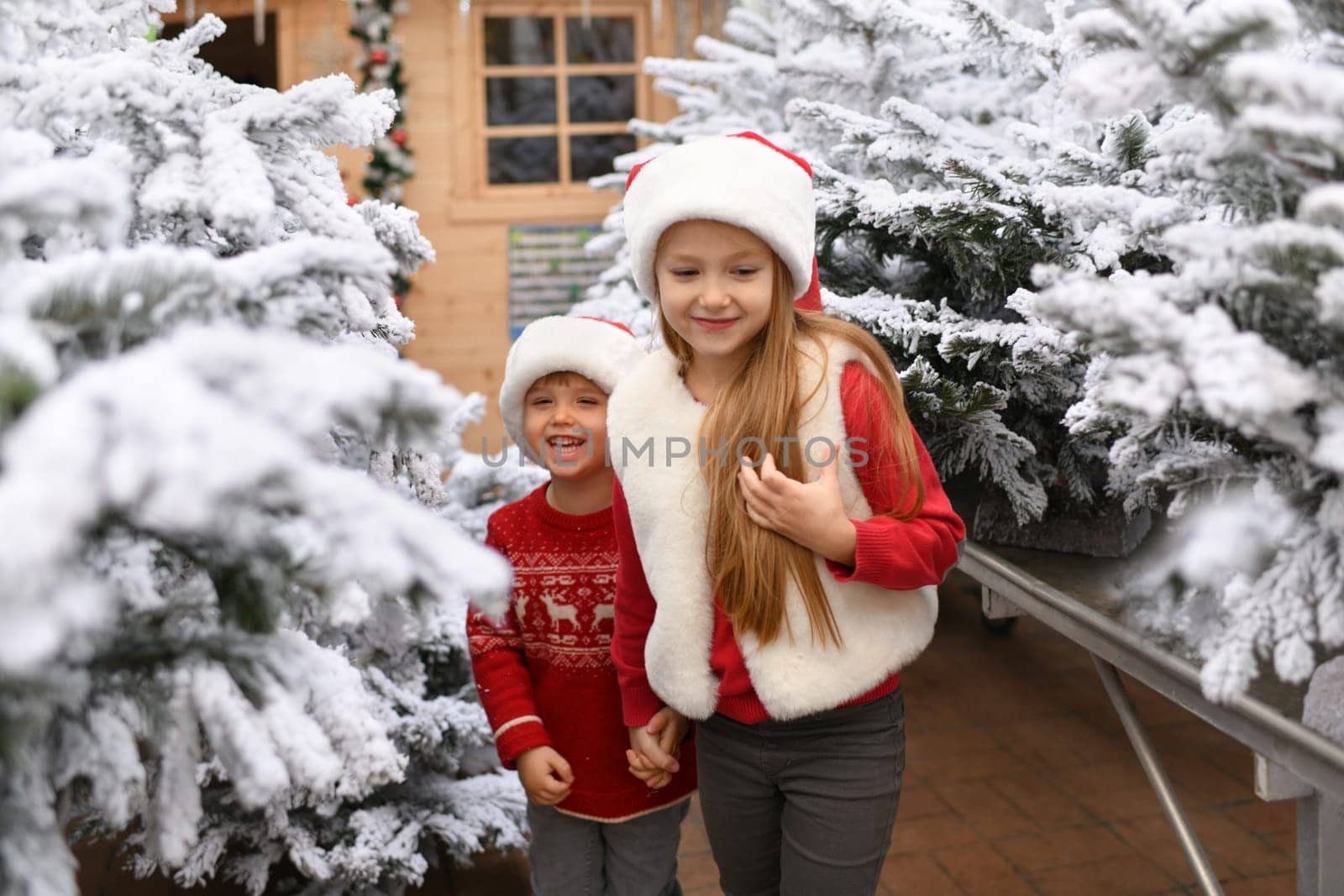 Children choose a Christmas tree at a market.