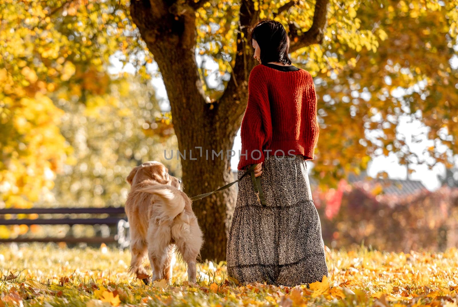 Beautiful girl with golden retriever dog walking in autumn park with yellow leaves. Pretty young woman with purebred doggy labrador at fall season at nature