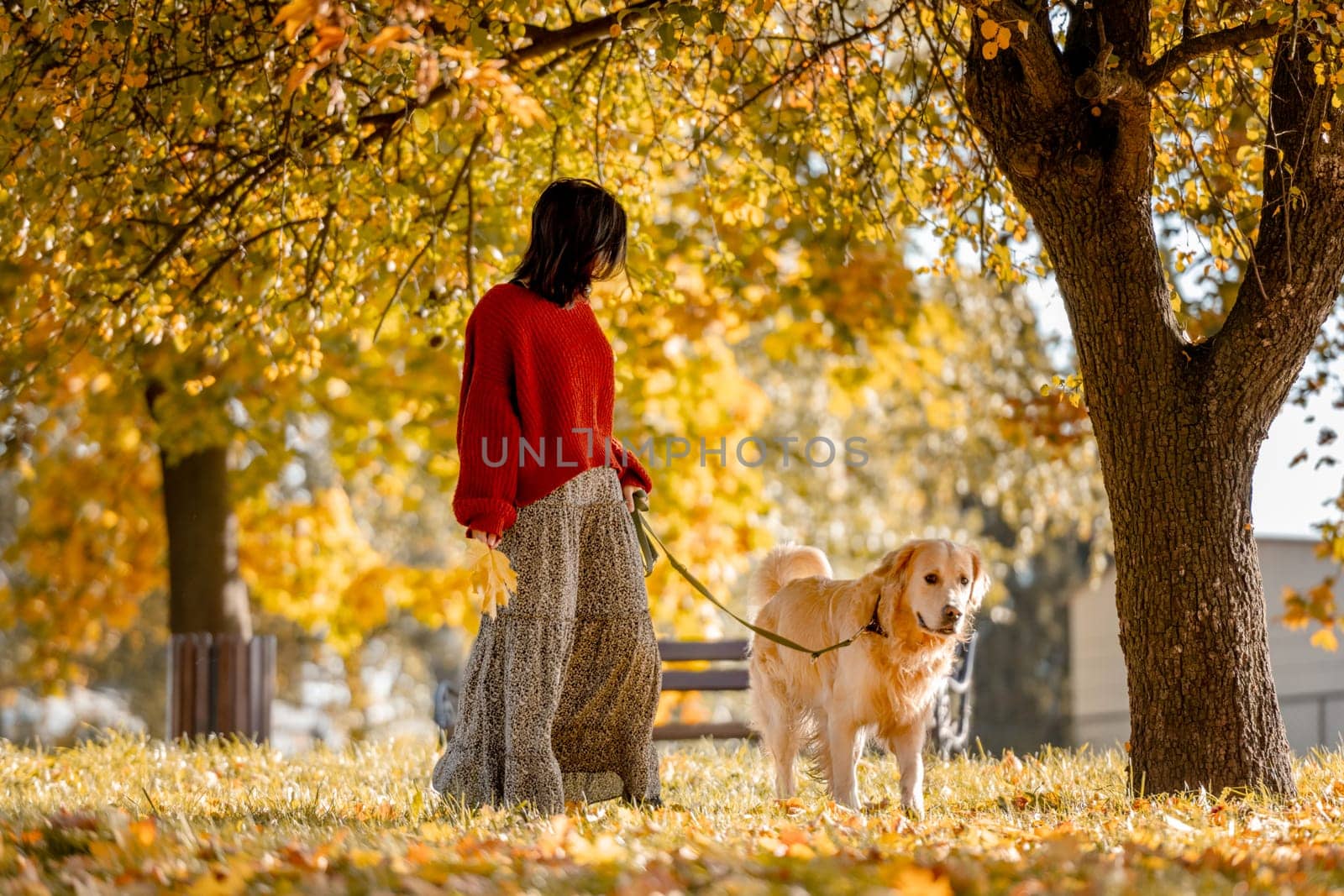 Beautiful girl with golden retriever dog in autumn park by tan4ikk1