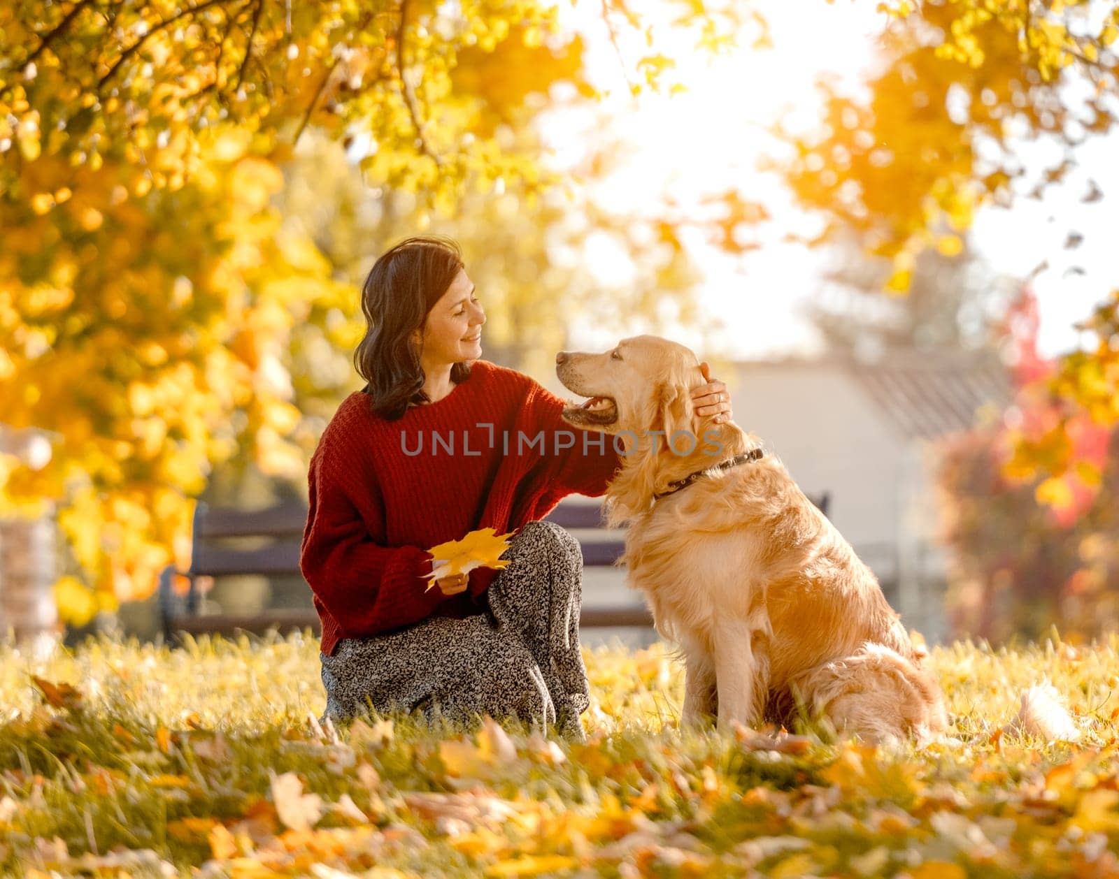 Beautiful girl with golden retriever dog sitting in autumn park with yellow leaves. Pretty young woman petting purebred doggy labrador at fall season at nature