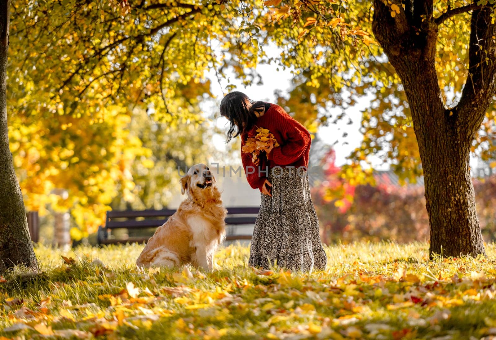 Beautiful girl with golden retriever dog holding yellow leaf in hand in autumn park. Pretty young woman playing with purebred doggy labrador at fall season at nature