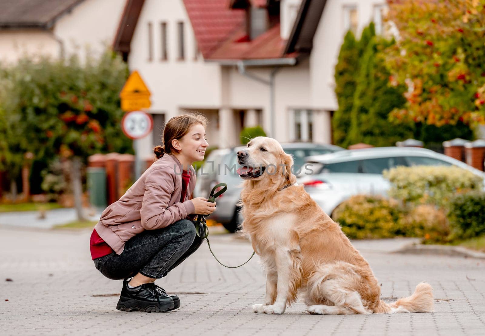 Preteen girl with golden retriever dog by tan4ikk1
