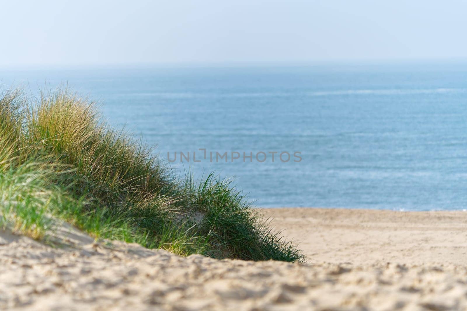 Sand dunes with marram grass and empty beach on Dutch coastline. Netherlands in overcast day. by PhotoTime