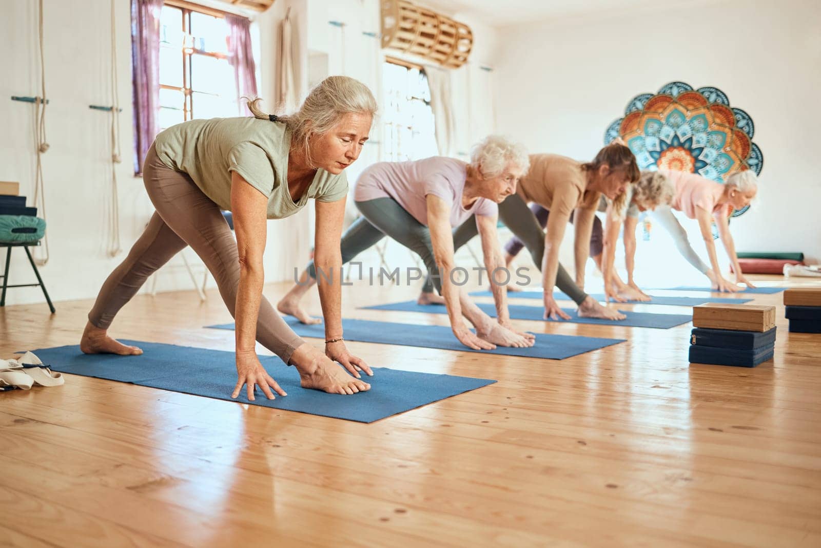 Senior yoga, pilates and fitness gym class of elderly women friends training for health and wellness. Workout in a studio for mindfulness and zen sports exercise for the body and mind to meditate by YuriArcurs