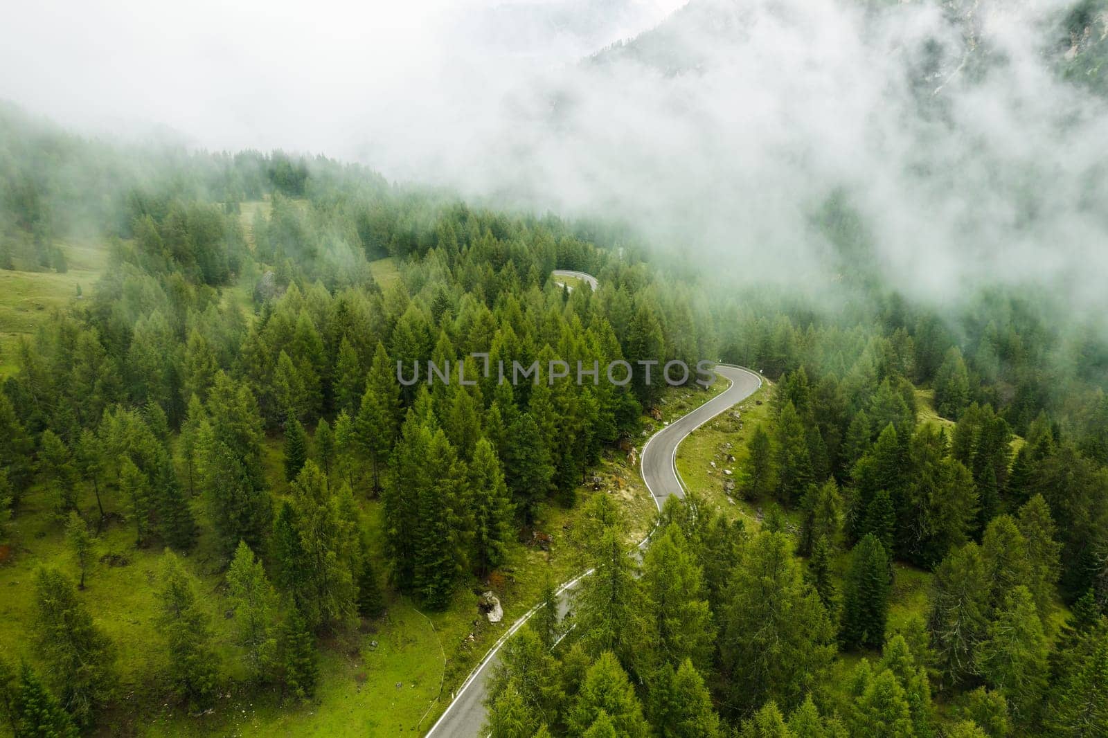 Aerial view of the high green coniferous forest covered with clouds at the foot of the mountain.
