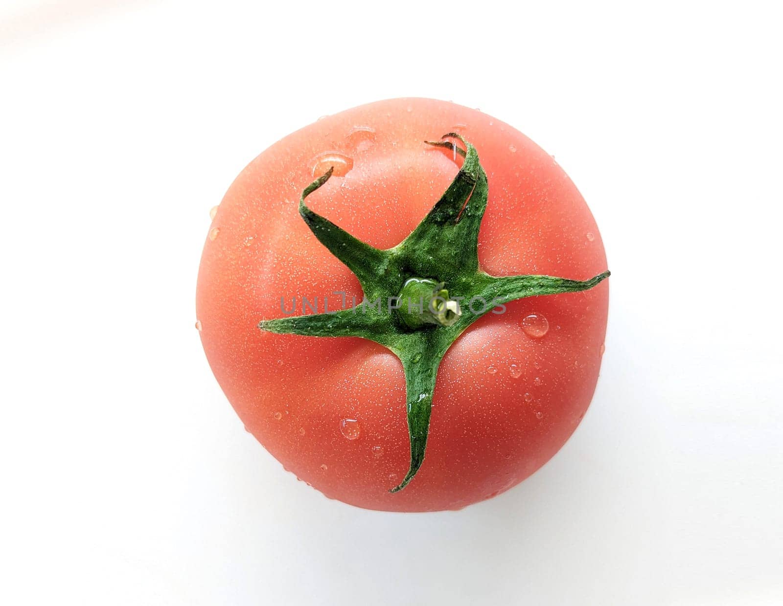 fresh wet tomato isolated on white background.