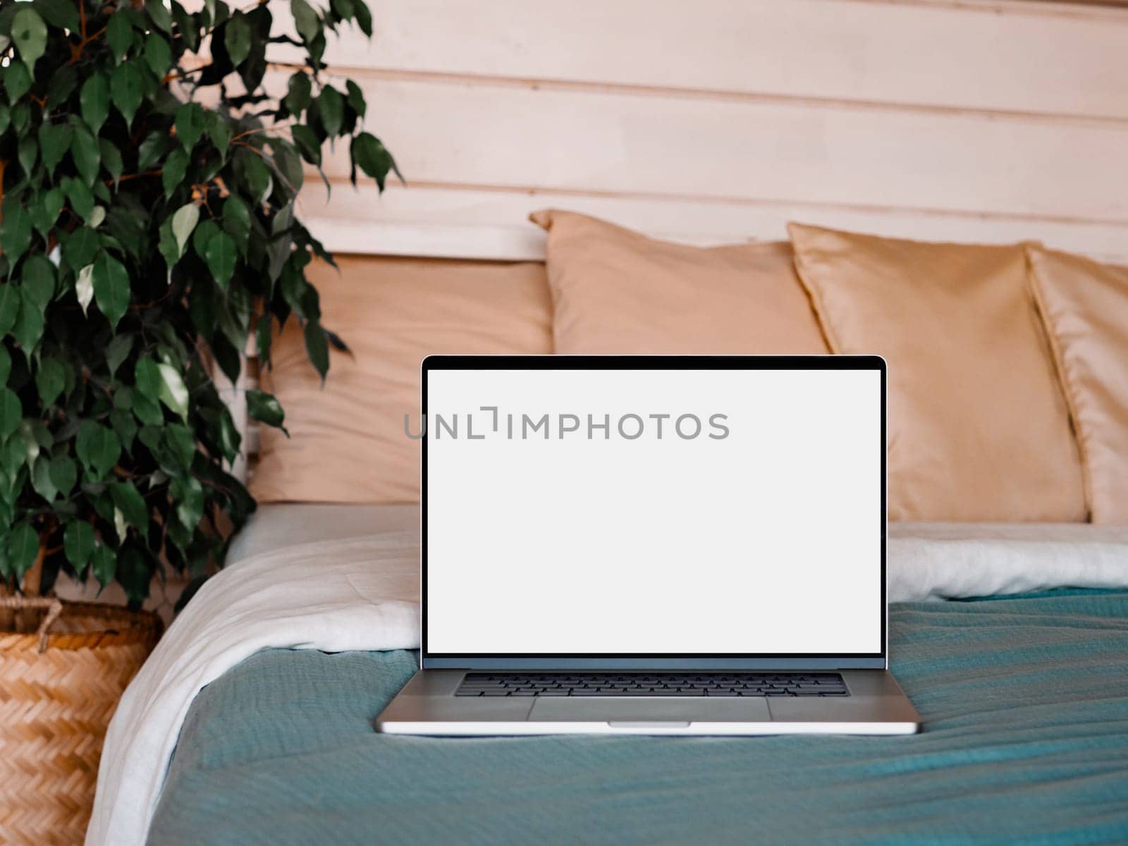 Laptop blank screen on bed in country house bedroom interior background, mockup, template. Clipping path device screen. Silver aluminium laptop at bed near green waringin tree in scandinavian country house