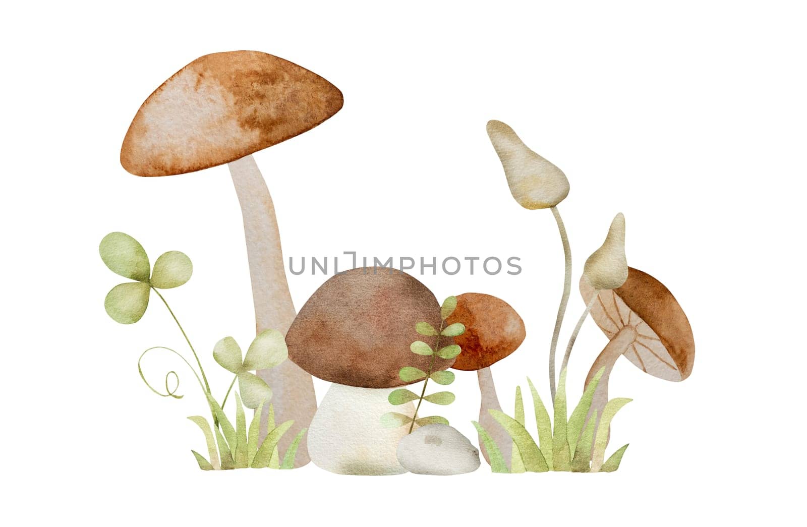 Forest red mushroom and green clover fairytale watercolor painting. Cartoon fly agaric amanita aquarelle drawing