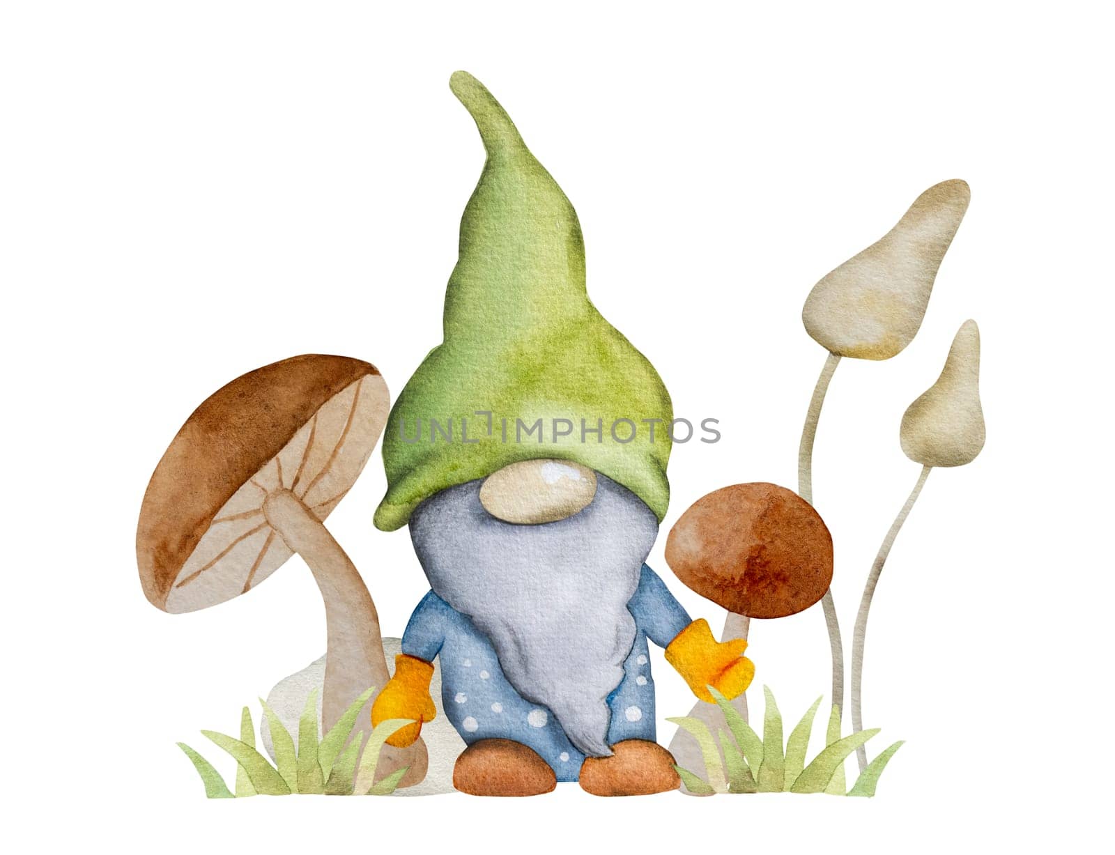 Forest dwarf with mushrooms in garden watercolor painting. Fairytale character gnome with agaric aquarelle drawing for postcard decoration