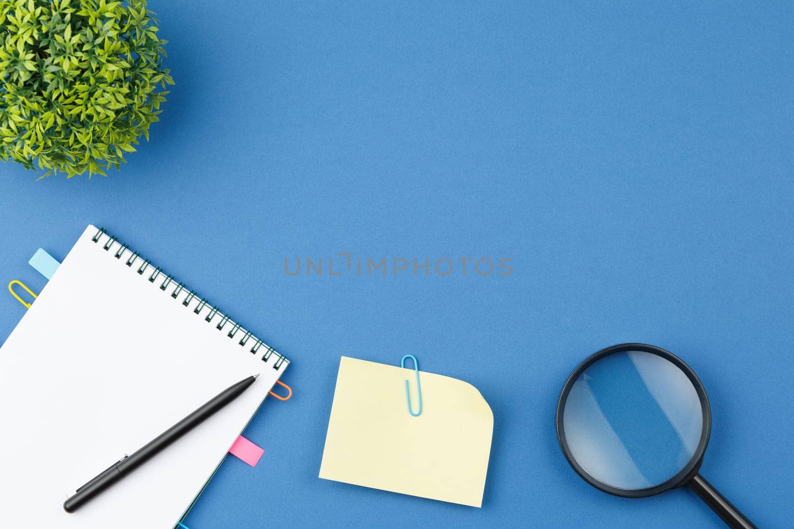 Spiral notebook with bookmarks from paper clips, note sheets, pen, magnifying glass and house plant with sealed leaves on blue isolated background. Office concept. Top view.