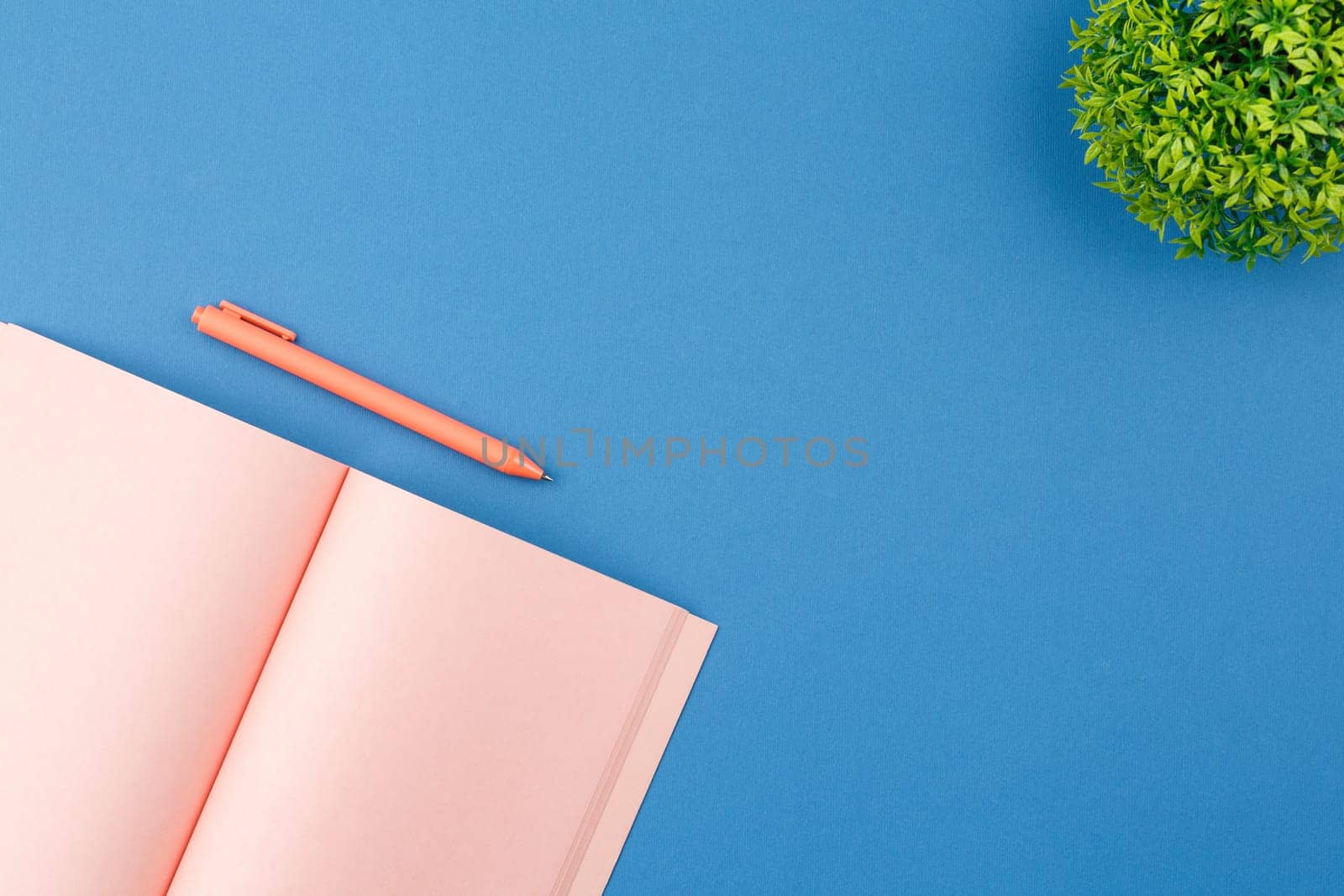 Pink notebook with pen and home plant with green leaves on blue isolated background. Flat lay. Top view.