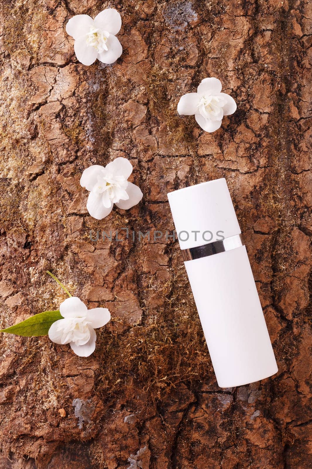 White plastic bottle with moisturizing face cream on tree bark with white jasmine flowers. The concept of bio-organic cosmetics with natural extract and vitamins by lara29