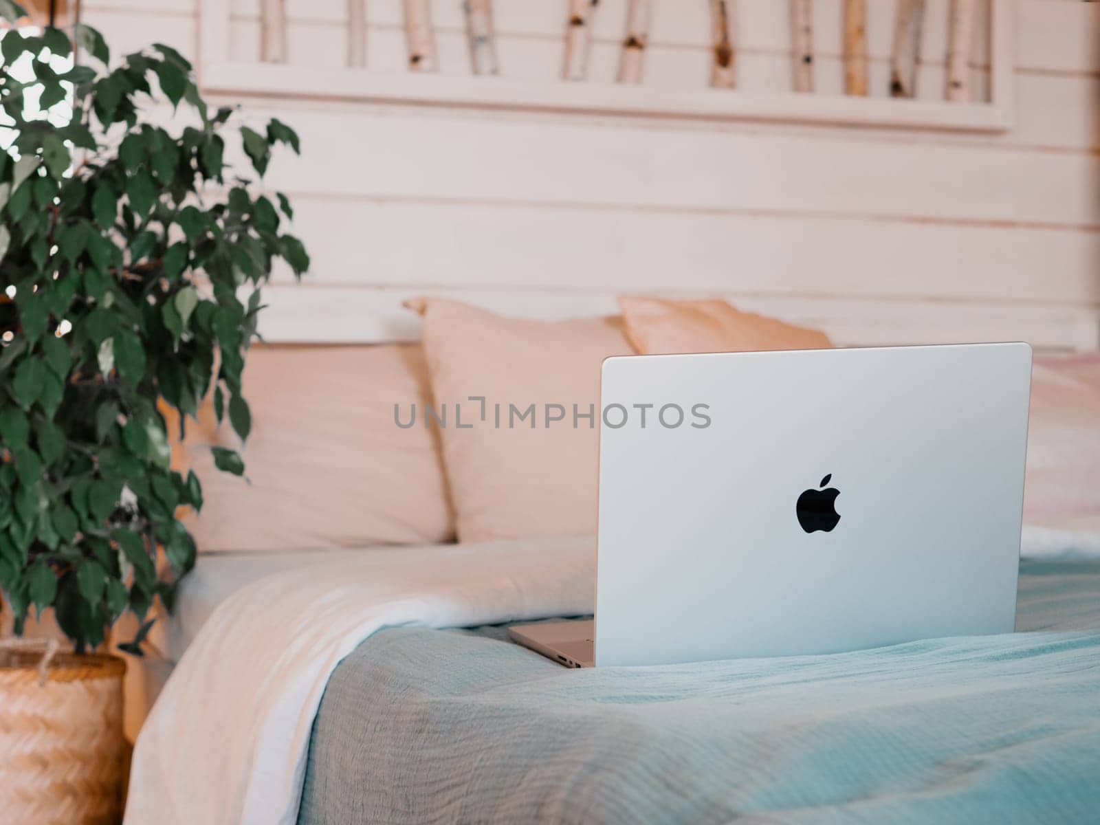 Macbook on bed in country house bedroom interior background. Silver aluminium laptop at bed near green waringin tree in scandinavian country house