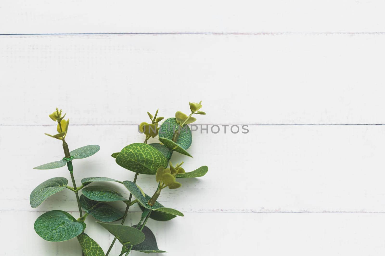 Top view of leaf bouquet on white table background for nature decoration and springtime concept