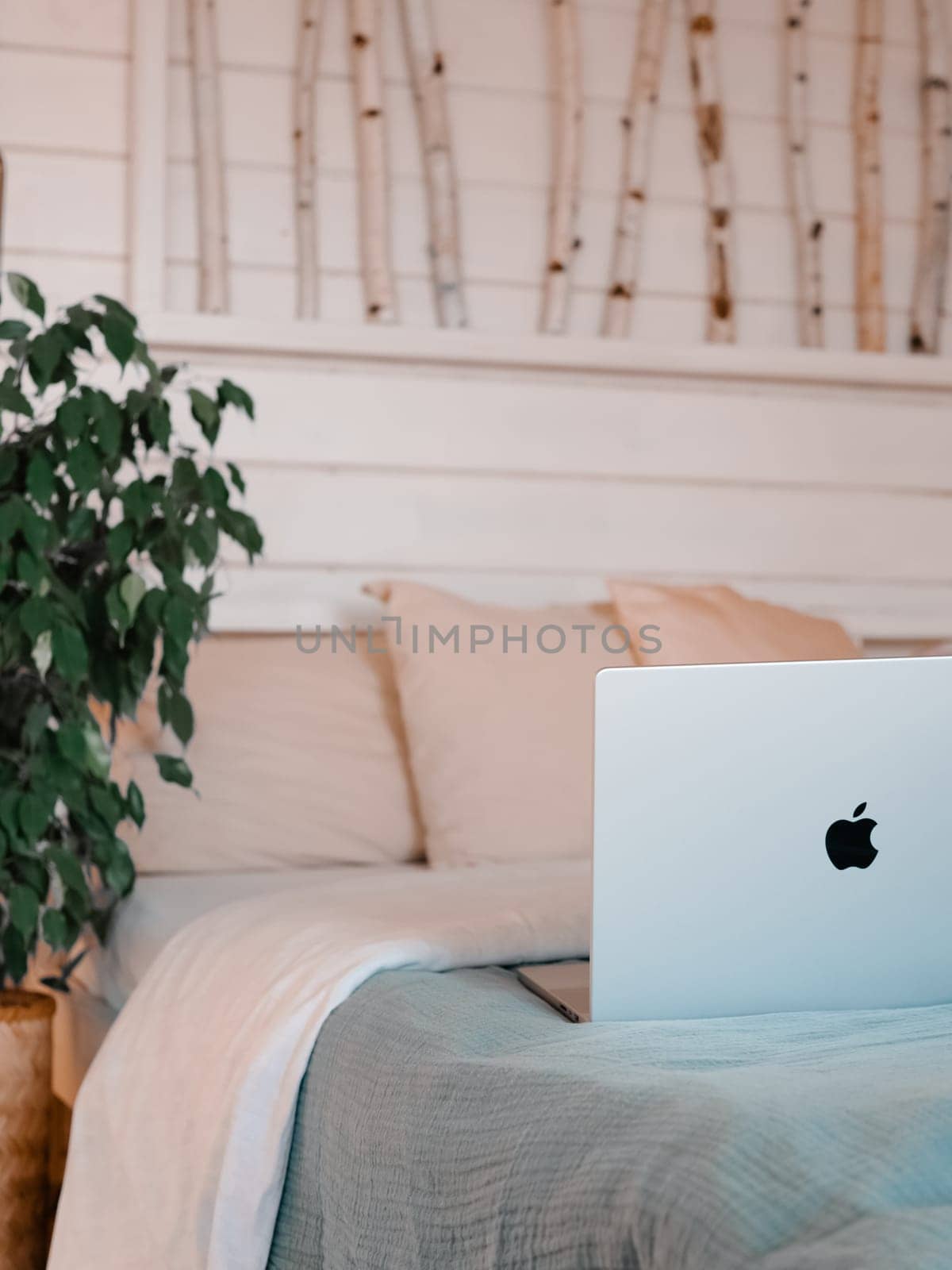 Macbook on bed in country house bedroom interior background. Silver aluminium laptop at bed near green waringin tree in scandinavian country house