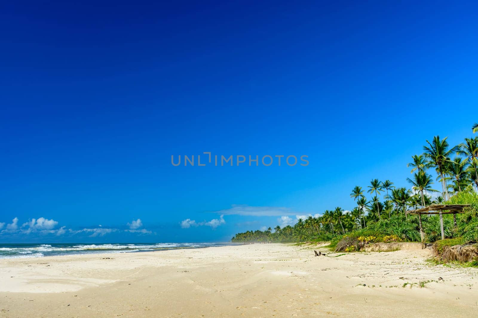Stunning Sargi beach surrounded by the sea and coconut trees in Serra Grande on the coast of Bahia