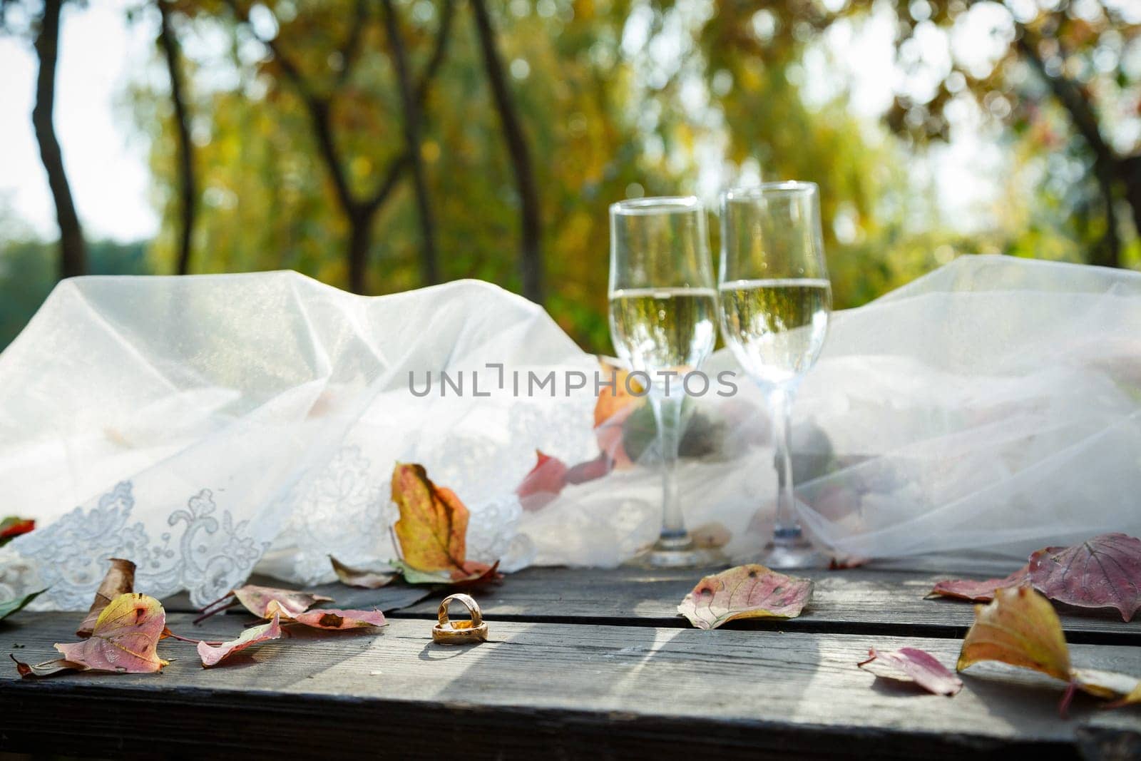 Golden wedding rings for newlyweds on their wedding day by Dmitrytph