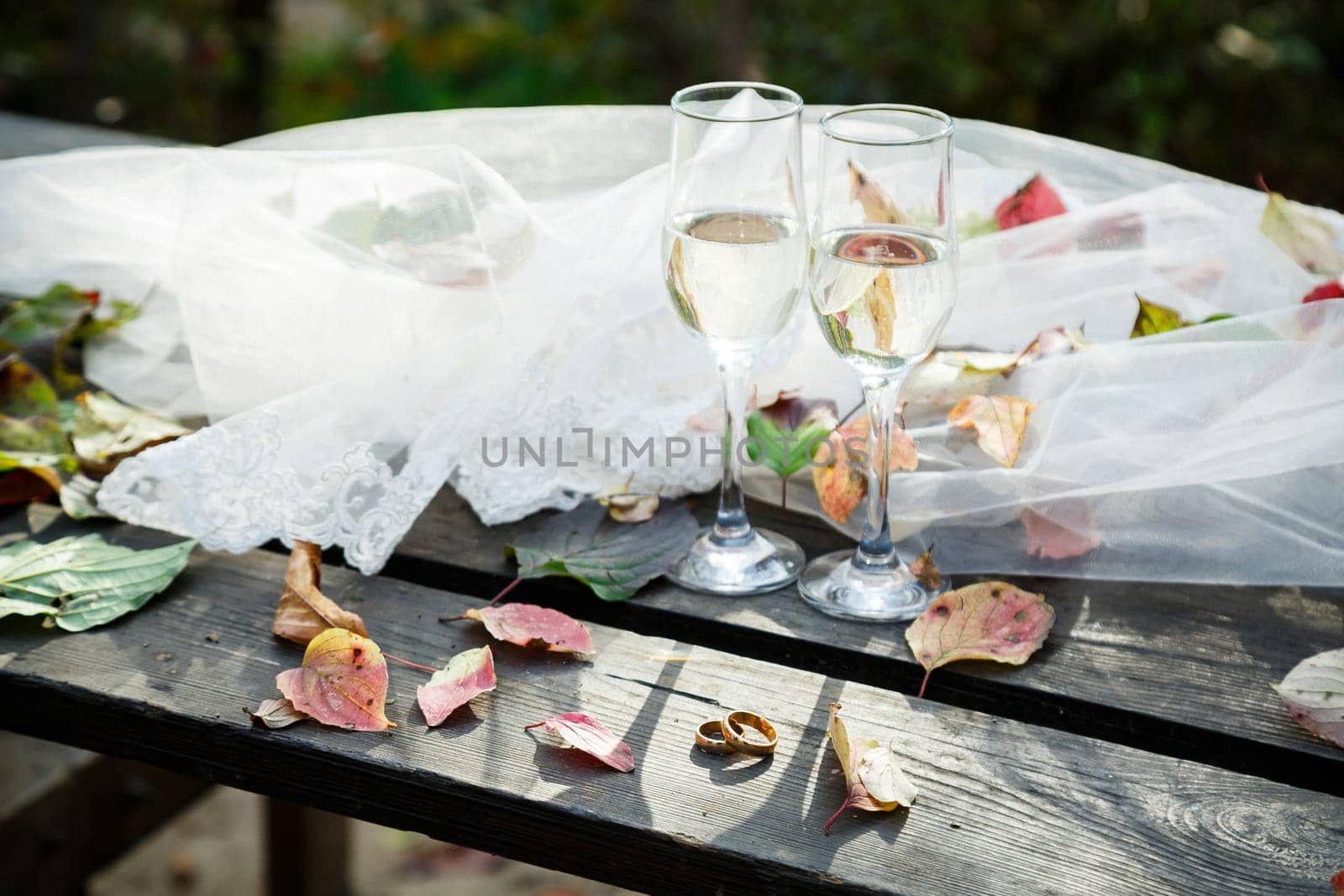 Golden wedding rings for newlyweds on their wedding day by Dmitrytph