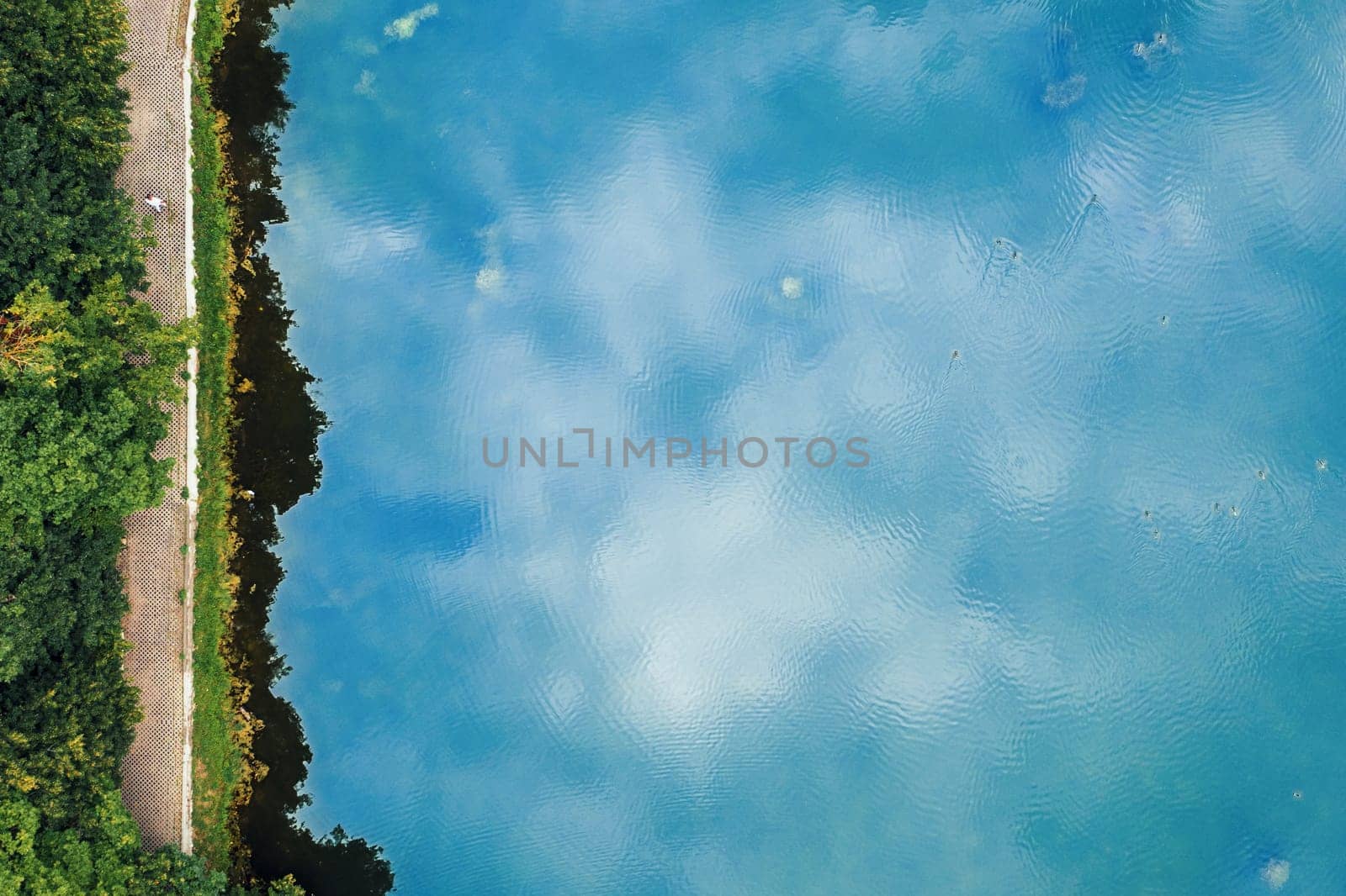 Blue water surface of lake with reflecting clouds, top view. Narrow strip of shore along lake and man walking along shore. Countryside woodland or park. Drone shoot above scenic landscape, coastline