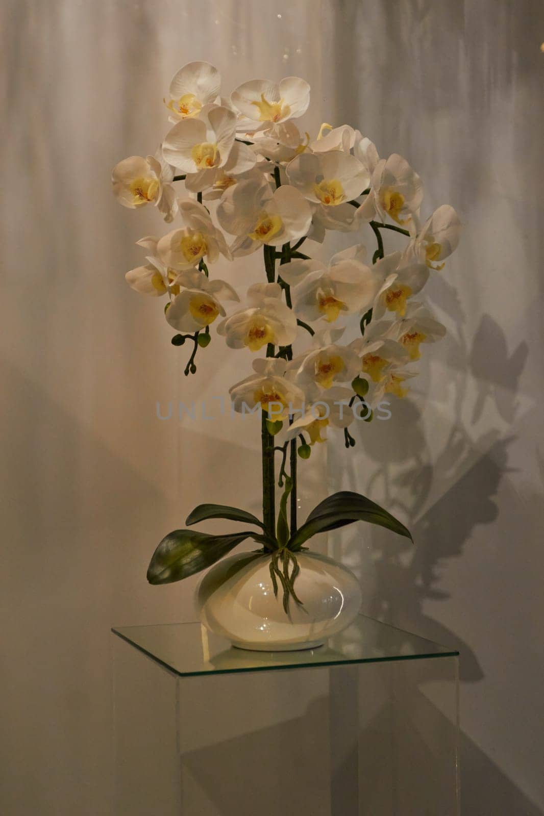 Photo of artificial flowers white orchids. decor. Wedding. Invitation.