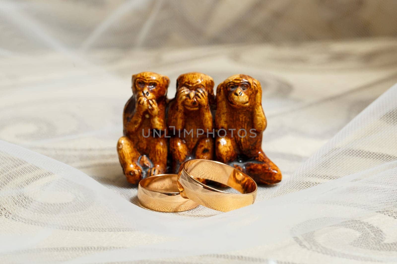 Golden wedding rings for newlyweds by Dmitrytph
