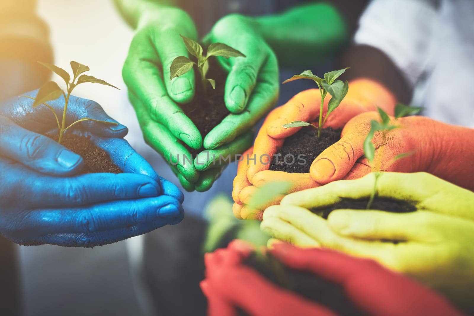 The protection of nature is in our hands. unrecognizable people holding budding plants in their multi colored hands. by YuriArcurs