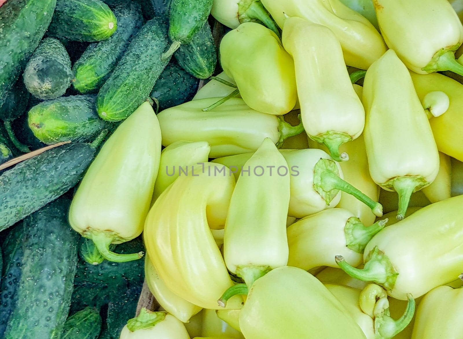 Close-up background of organic fresh vegetables, green sweet peppers and cucumbers.