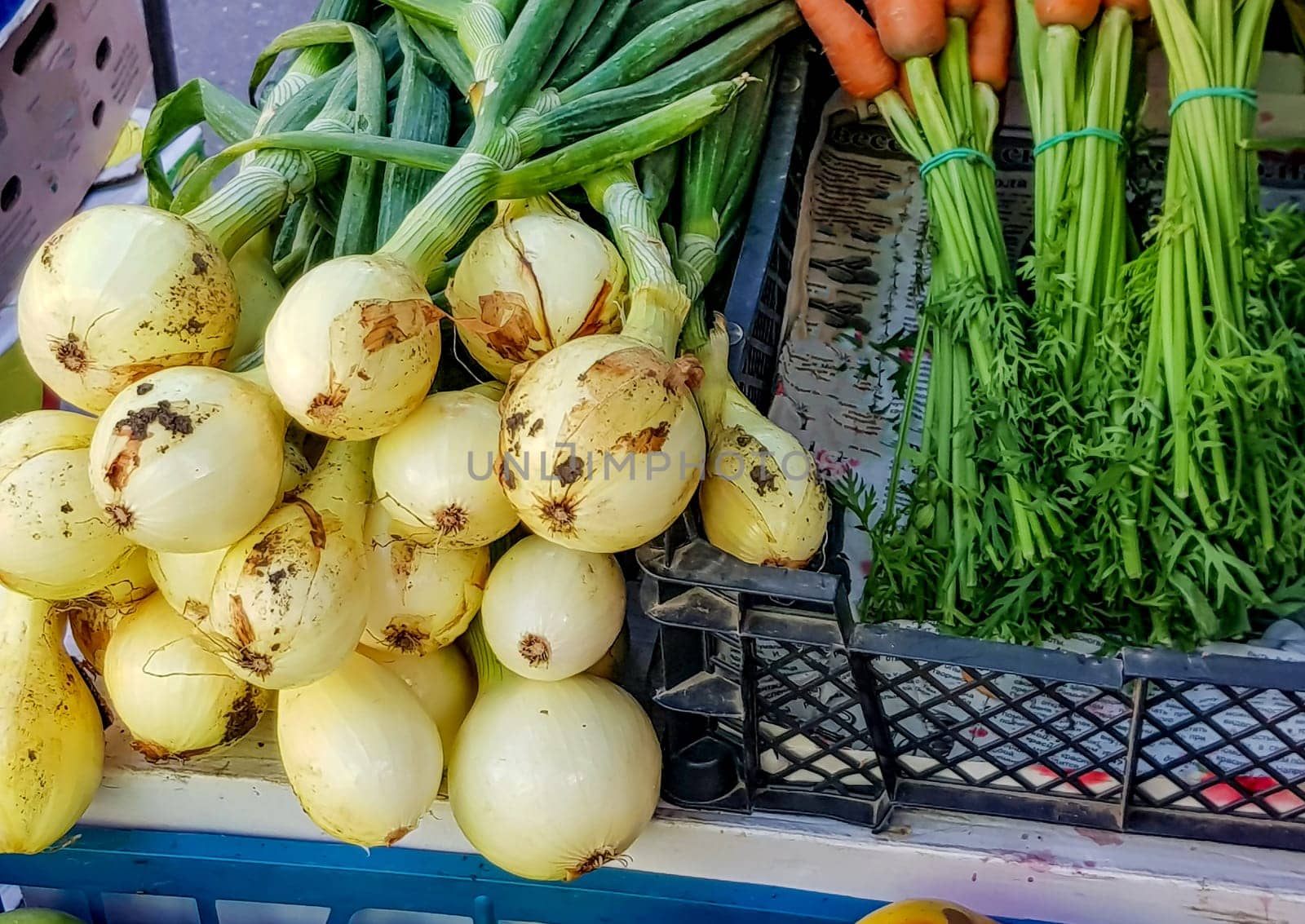 Close-up of fresh onions with a green feather and bunches of carrots on the counter of a vegetable store.
