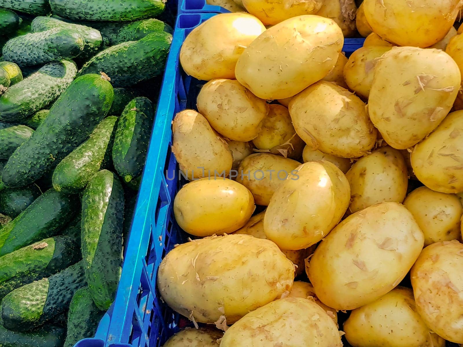 Sale of organic food products at the farmer's market. Fresh potatoes and cucumbers on the counter close-up.