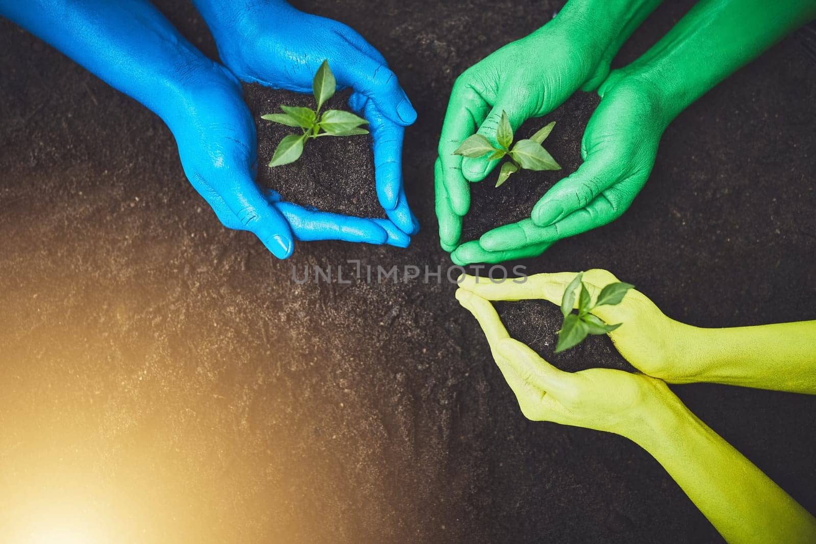 Follow the light. unrecognizable people holding budding plants in their multi colored hands. by YuriArcurs