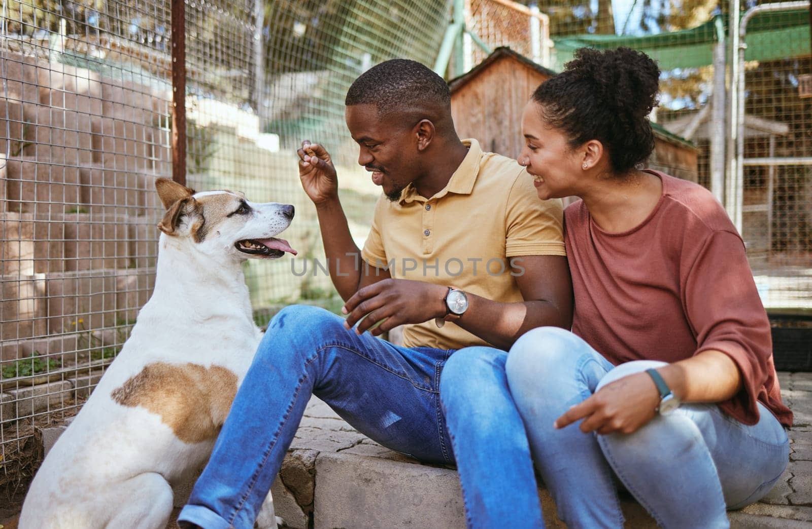 Adoption, couple and feeding dog at vet, bonding and having fun. Foster care, interracial love and happy man and woman giving pet food at animal shelter, playing or enjoying quality time together