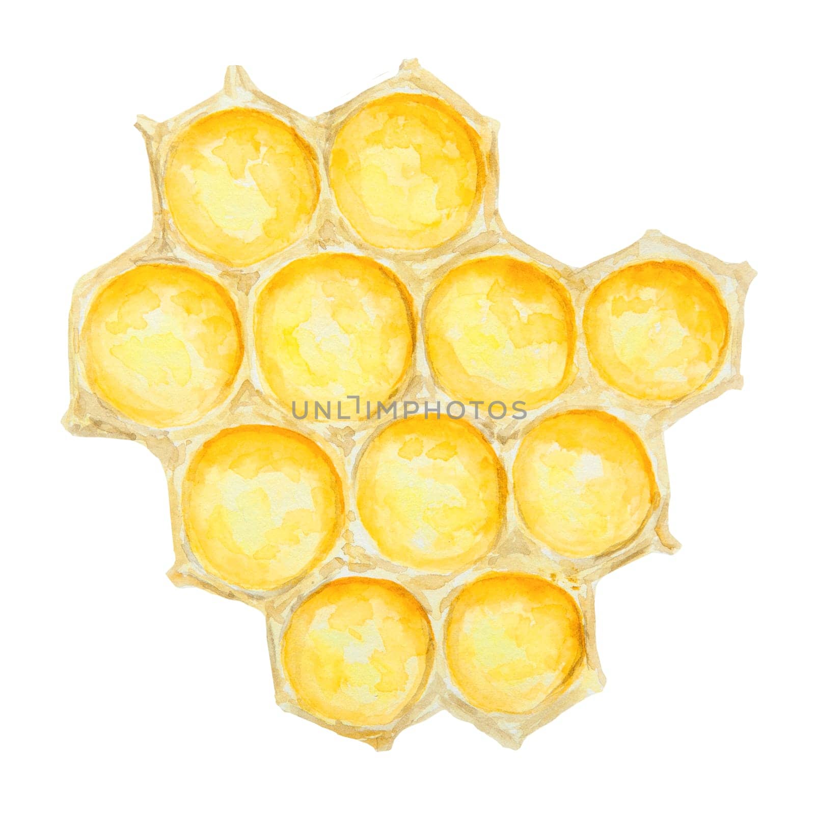 Watercolor illustration of honey. Hand drawn and isolated on white background. Great for printing on fabric, postcards, invitations, menus, cosmetics, cooking books and more.