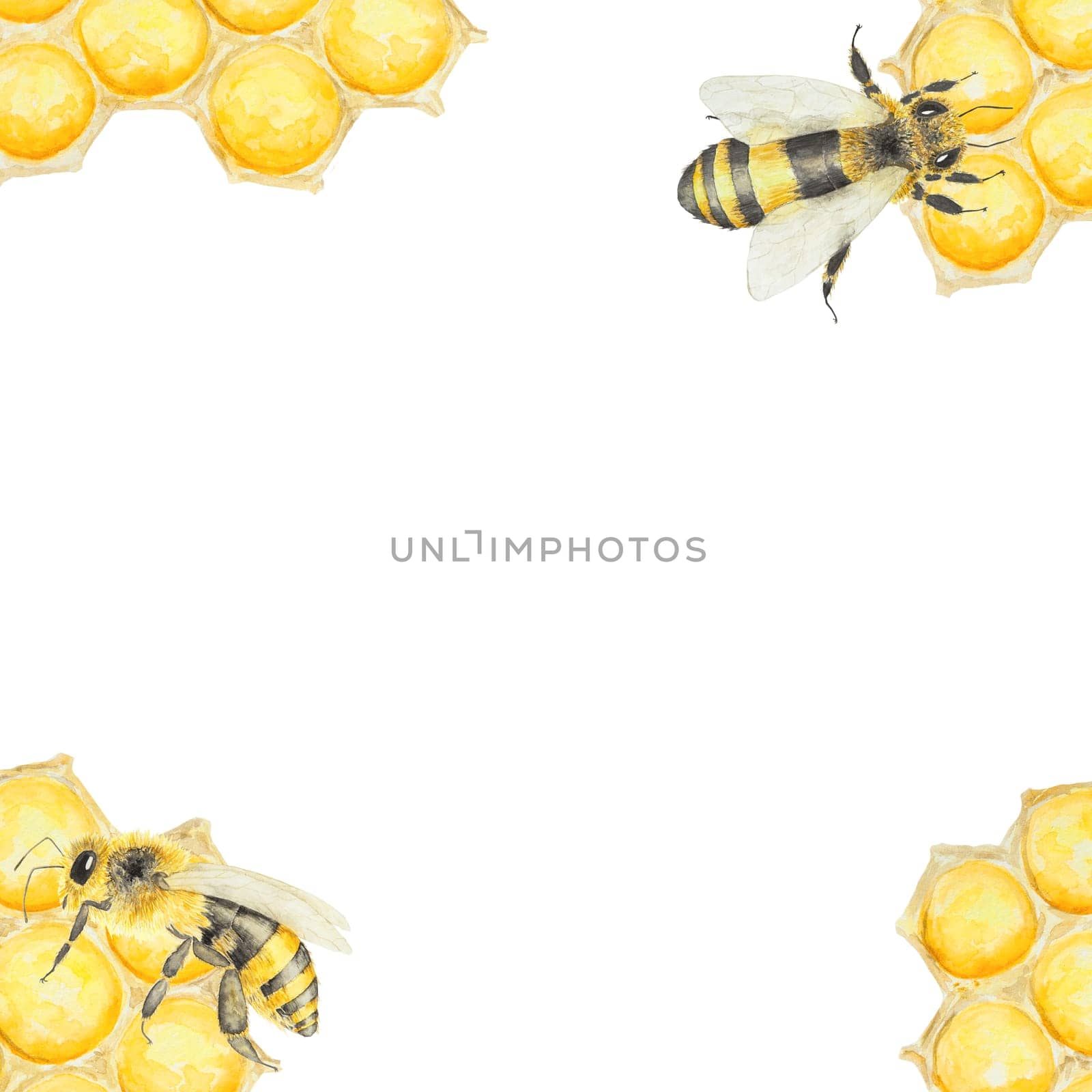 Watercolor hand drawn bee isolated on white background by florainlove_art