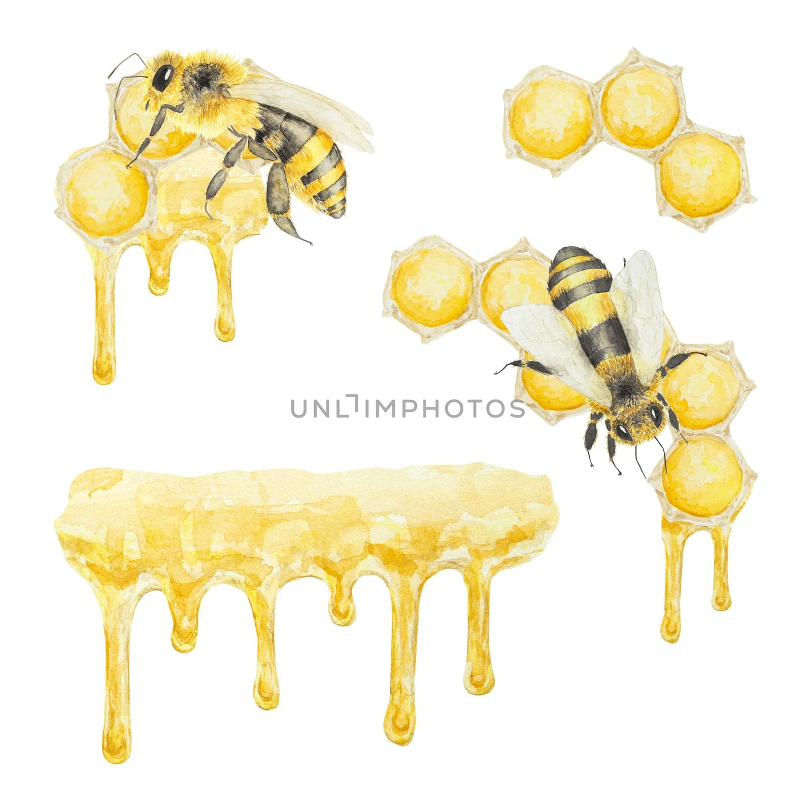 Watercolor illustration of honey and bees. Hand drawn and isolated on white background. Great for printing on fabric, postcards, invitations, menus, cosmetics, cooking books and others.